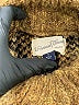Universal Thread Animal Print Brown Pullover Sweater Size S - photo 7