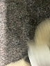 Sanctuary Ivory Cardigan Size XS - photo 8