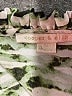 Cooper & Ella 100% Polyester Green Long Sleeve Blouse Size XL (4) - photo 7