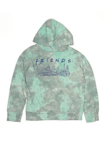 Friends Pullover Hoodie (view 1)