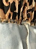Unbranded Animal Print Gold Brown Casual Pants Size XL - photo 7