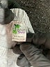 Laughing Giraffe Gray Sweatpants Size 6-12 mo - photo 3