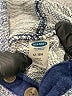 Old Navy Blue Pullover Sweater Size 12-18 mo - photo 3