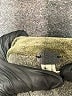 We the Free Metallic Green Pullover Sweater Size S - photo 7