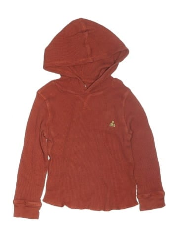 Baby Gap Pullover Hoodie (view 1)