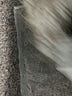 Olive and Oak Tweed Gray Turtleneck Sweater Size XS - photo 8