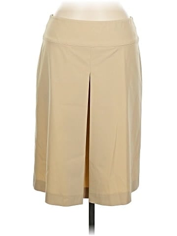 Max Mara Formal Skirt (view 1)