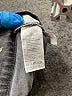 Madewell Black Gray Jeans Size 23 waist - photo 4