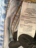 Madewell 100% Cotton Blue Jeans Size 23 waist - photo 7