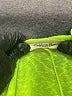 Cotton Bleu 100% Polyester Green Short Sleeve Top Size S - photo 6