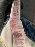 Dr Denim Blue Jeans Size 31 waist - photo 9