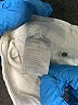 KANCAN JEANS Ivory Jeans Size 11 - photo 8