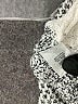 Madewell Houndstooth Silver Pullover Sweater Size XS - photo 8