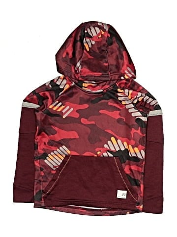 Russell Athletic Pullover Hoodie (view 1)