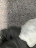 Unbranded 100% Cotton Camo Silver Gray Shorts Size S - photo 4
