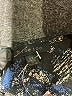 Mine Too 100% Polyester Blue Long Sleeve Blouse Size 1X - photo 7