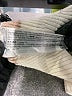 MNG Stripes Tan Pullover Sweater Size XS - photo 8