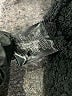 Sanctuary Solid Black Pullover Sweater Size S - photo 7