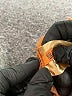 Pilcro Brown Jeans Size 23 waist - photo 7