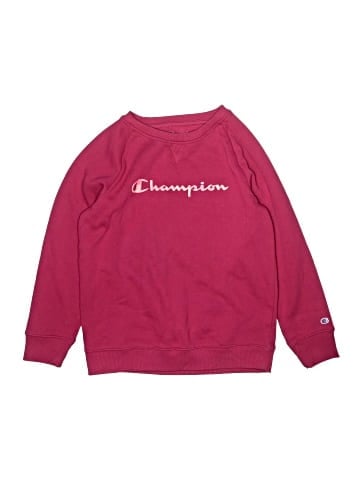Champion Sweatshirt (view 1)
