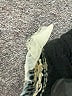 Jolt Blue Jeans Size 7 - photo 8