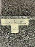 Nine Britton Gray Casual Dress Size S - photo 7