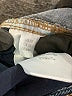 We the Free Solid Blue Jeans Size 25 waist - photo 8