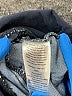 Indigo Blue Blue Jeans Size M - photo 7