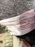 Gap Solid Gray Khakis Size 10 - photo 8