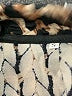 Unbranded Animal Print Brown Cardigan Size S - photo 7