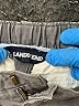 Lands' End Gray Khakis Size 5 - photo 3