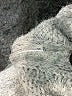Topshop Gray Turtleneck Sweater Size 0 - 2 - photo 8
