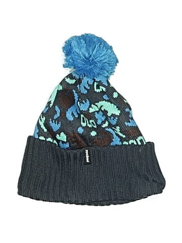 Patagonia Beanie (view 1)