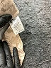 Zyia Active Paisley Gold Casual Pants Size S - photo 8