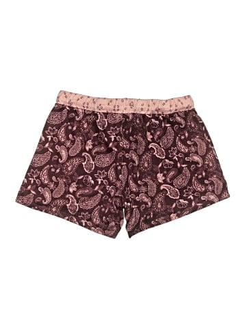 Lucky Brand Shorts (view 2)