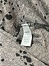 Michael Stars Gray Long Sleeve T-Shirt One size - photo 8