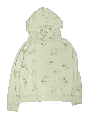 Roots Pullover Hoodie (view 1)