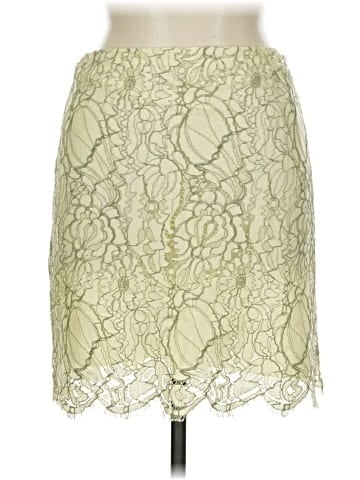 THE WRIGHTS Casual Skirt (view 1)