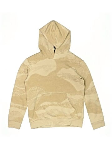 DSG Pullover Hoodie (view 1)