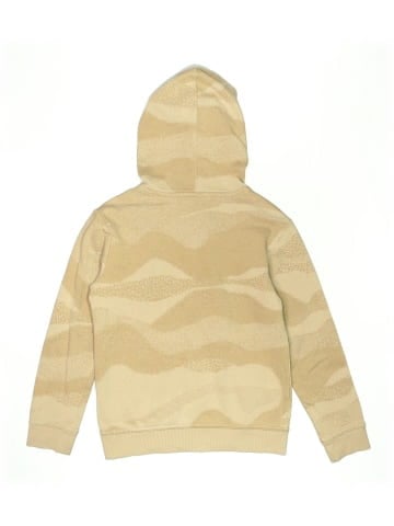 DSG Pullover Hoodie (view 2)