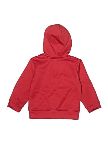 Champion Zip Up Hoodie (view 2)