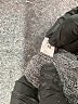 Assorted Brands Chevron-herringbone Gray Active Pants Size M - photo 5
