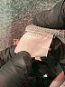Assorted Brands Solid Gray Vest Size 120 cm / US 6X - photo 4