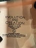 Evolution and Creation Ivory Shorts Size S - photo 3