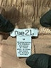rue21 Tan Khaki Shorts Size M - photo 3