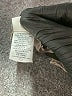 Corey Lynn Calter 100% Polyester Metallic Silver Casual Skirt Size M - photo 5