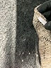 NY Collection Tan Silver Cardigan Size XS - photo 8