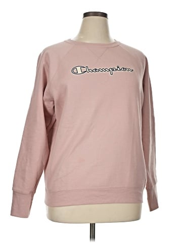 Champion Sweatshirt (view 1)