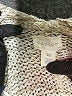 Caslon Ivory Cardigan Size XXS - photo 7