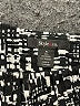 Style&Co Black Short Sleeve Blouse Size XL - photo 6